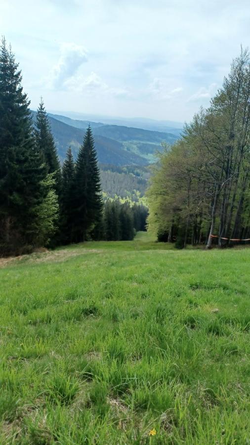 Panorama Svadlenka דירה *